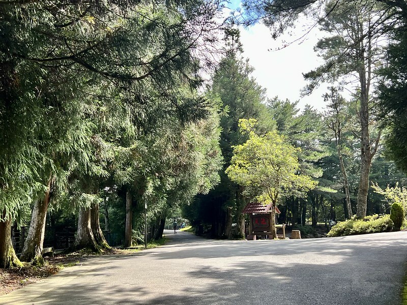 【台灣,台中市,和平區】海拔2614公尺的「福壽山農場」天池與達觀亭,滿滿能量、芬多精,大口呼吸,好暢快