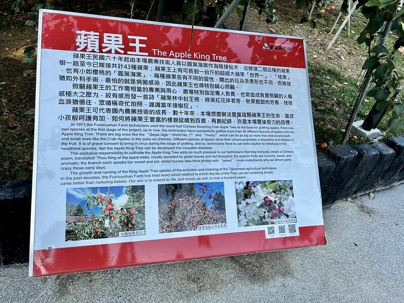 【台灣，台中市，和平區】遠的要命的農場～福壽山農場FushoushanFarm。（台中旅遊/台中景點/台中購物節）