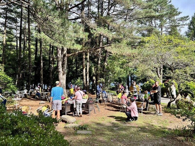 【台灣,台中市,和平區】海拔2614公尺的「福壽山農場」天池與達觀亭,滿滿能量、芬多精,大口呼吸,好暢快