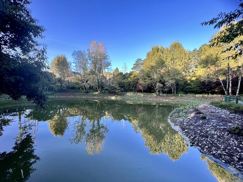 【台灣，台中市，和平區】遠的要命的農場～福壽山農場FushoushanFarm。（台中旅遊/台中景點/台中購物節）
