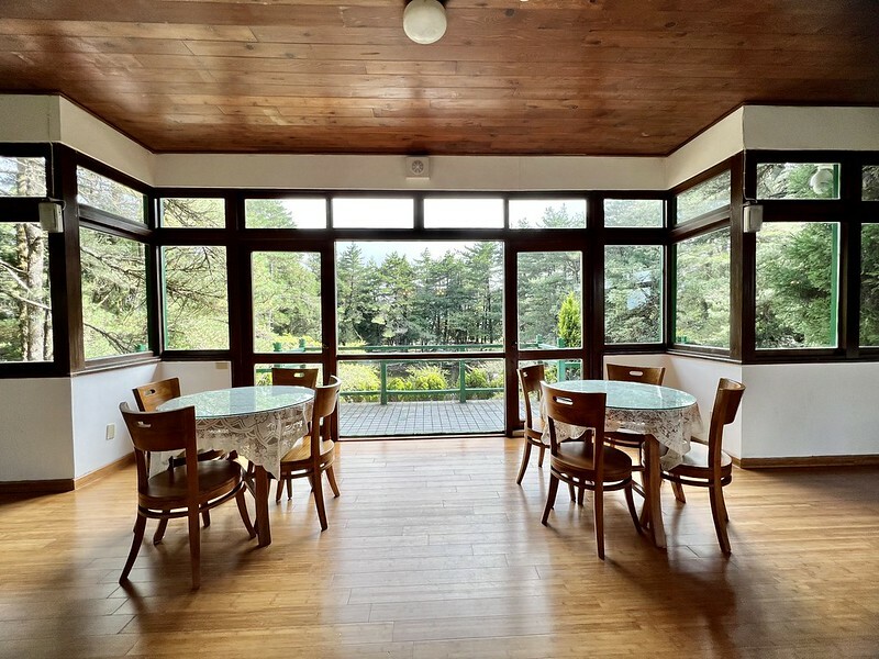 【台灣,台中市,和平區】海拔2614公尺的「福壽山農場」天池與達觀亭,滿滿能量、芬多精,大口呼吸,好暢快