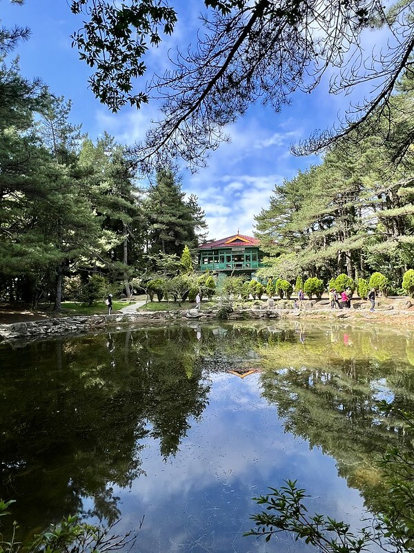 【台灣,台中市,和平區】海拔2614公尺的「福壽山農場」天池與達觀亭,滿滿能量、芬多精,大口呼吸,好暢快