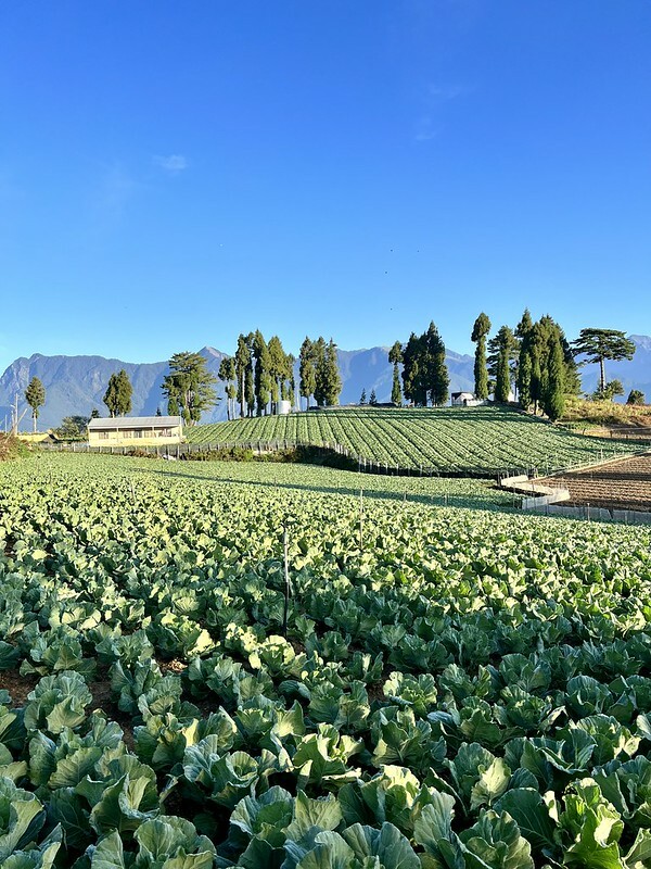 【台灣，台中市，和平區】遠的要命的農場～福壽山農場FushoushanFarm。（台中旅遊/台中景點/台中購物節）