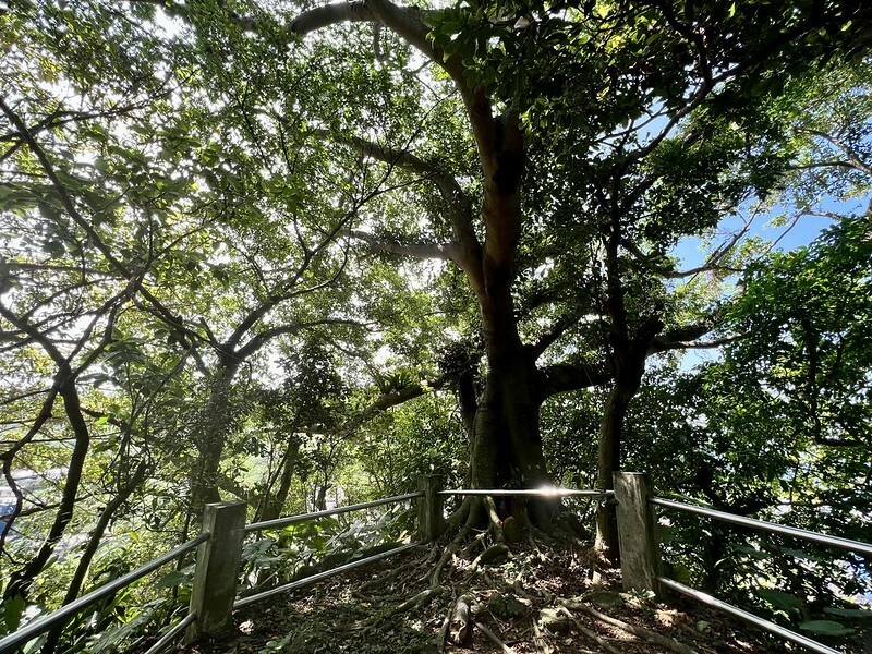 【台灣,基隆市,中山區】白米甕砲台,國家級的古蹟,海天一色的美景。(基隆旅遊/基隆景點)