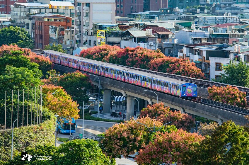 【飛機拍攝點】華航皮卡丘彩繪機航班‧機型‧拍攝點│桃園機場捷運‧台北捷運‧飛翔皮卡丘.尋寶歷險記彩繪列車‧