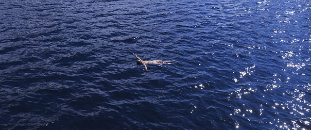 The movie posters & stills of French movie will be pre-launching on Nov 4 & 6 at 2022 Taipei Golden Horse film festival and formally launch will be from t  Feb 10, 2023  onwards in Taiwan.