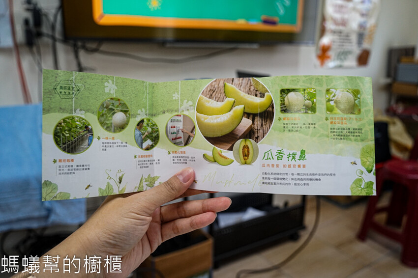 妞妞果園 | 青農帶路農遊趣，阿瑋米香、晨照溫室，火龍果盆栽。 - 螞蟻幫的櫥櫃