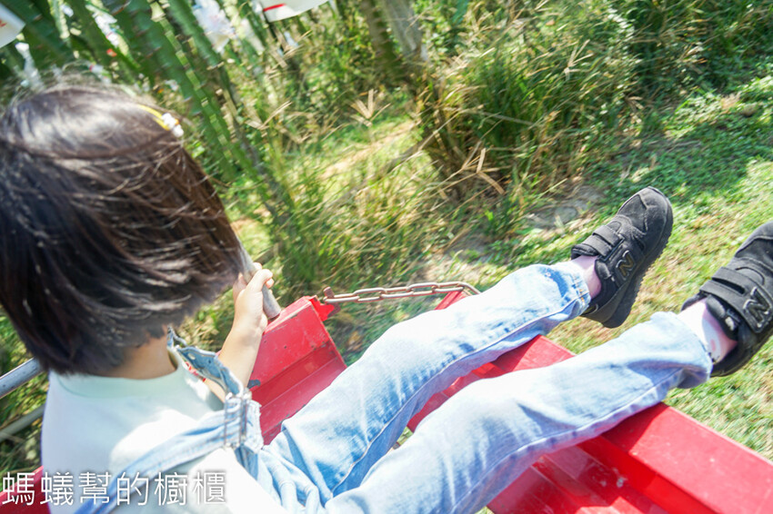 妞妞果園 | 青農帶路農遊趣，阿瑋米香、晨照溫室，火龍果盆栽。 - 螞蟻幫的櫥櫃