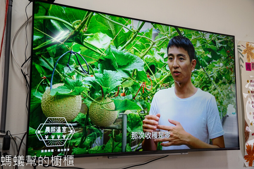 妞妞果園 | 青農帶路農遊趣，阿瑋米香、晨照溫室，火龍果盆栽。 - 螞蟻幫的櫥櫃