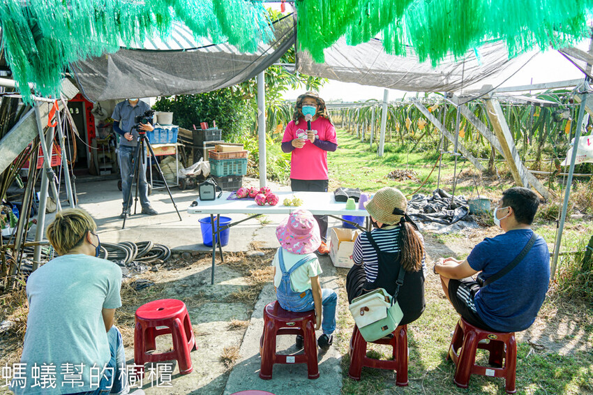 妞妞果園 | 青農帶路農遊趣，阿瑋米香、晨照溫室，火龍果盆栽。 - 螞蟻幫的櫥櫃