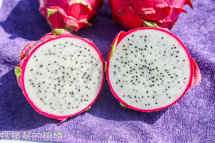 妞妞果園 | 青農帶路農遊趣，阿瑋米香、晨照溫室，火龍果盆栽。 - 螞蟻幫的櫥櫃