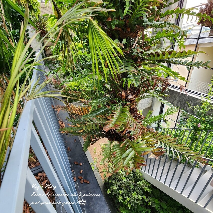 台南//中西區//南埕衖事~巷弄裡的老故事 這裡賣的是冰淇淋