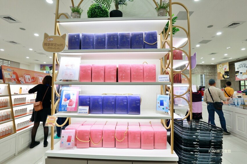 嘉義大林佐登妮絲城堡｜秒飛歐洲！推薦大林鄰近周邊景點老楊方塊酥.楓丹白露.近民雄.太平雲梯