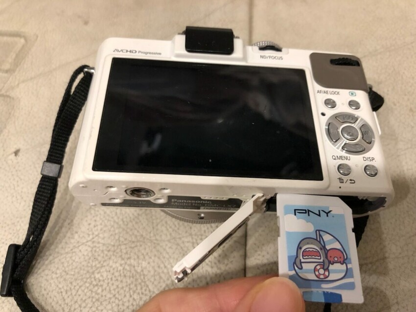 Mr. SHARK x PNY 聯名記憶卡/鯊魚先生/正版授權