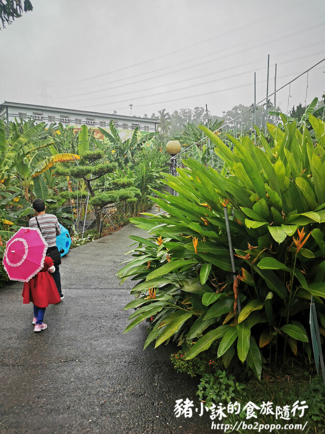 南投。集集》jijibanana集元果。香蕉主題觀光工廠