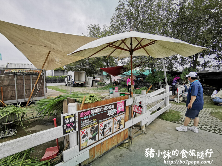 雲林。崙背》千巧谷牛樂園牧場。可愛擔當又免門票的親子農場