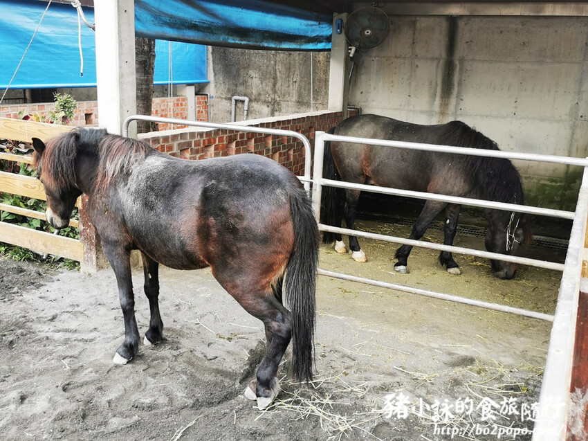 嘉義。民雄》三隻小豬觀光農場。有童話世界場景又有小動物的親子農場