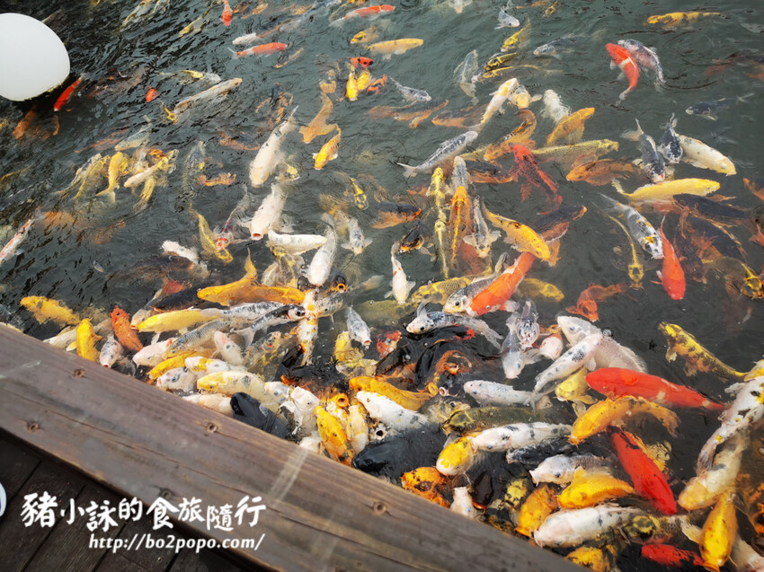 嘉義。民雄》三隻小豬觀光農場。有童話世界場景又有小動物的親子農場