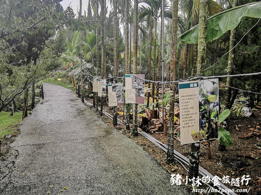 南投。集集》jijibanana集元果。香蕉主題觀光工廠