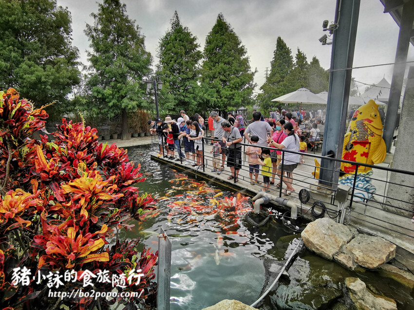 雲林。崙背》千巧谷牛樂園牧場。可愛擔當又免門票的親子農場