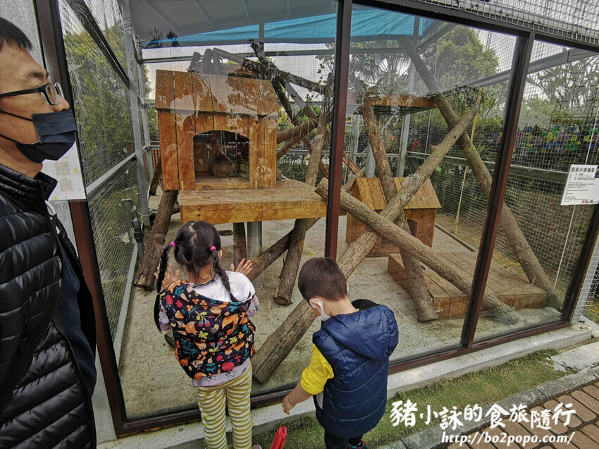 嘉義。民雄》三隻小豬觀光農場。有童話世界場景又有小動物的親子農場