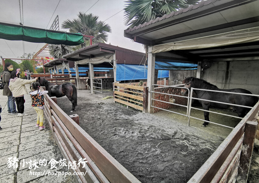 嘉義。民雄》三隻小豬觀光農場。有童話世界場景又有小動物的親子農場