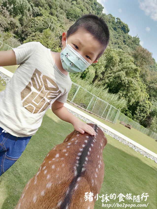 嘉義。番路》逐鹿文創園區+觸口遊客中心。梅花鹿餵食。鄒族歌舞表演