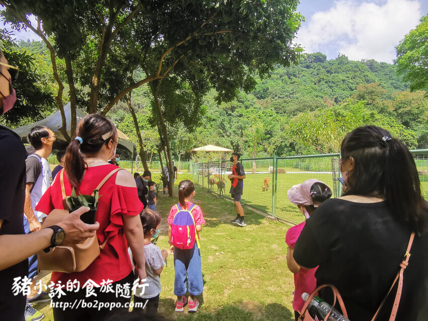 嘉義。番路》逐鹿文創園區+觸口遊客中心。梅花鹿餵食。鄒族歌舞表演