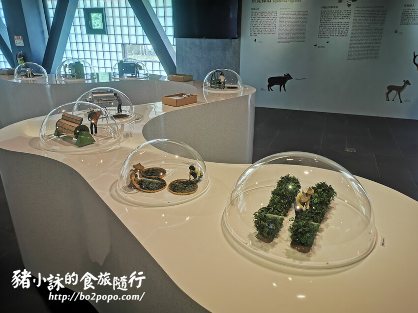 嘉義。番路》逐鹿文創園區+觸口遊客中心。梅花鹿餵食。鄒族歌舞表演