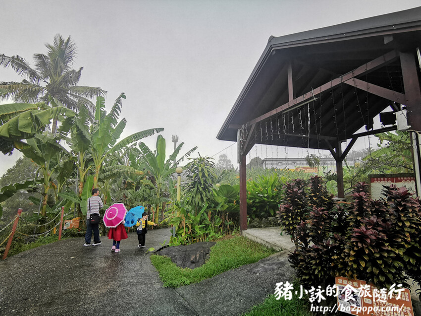 南投。集集》jijibanana集元果。香蕉主題觀光工廠