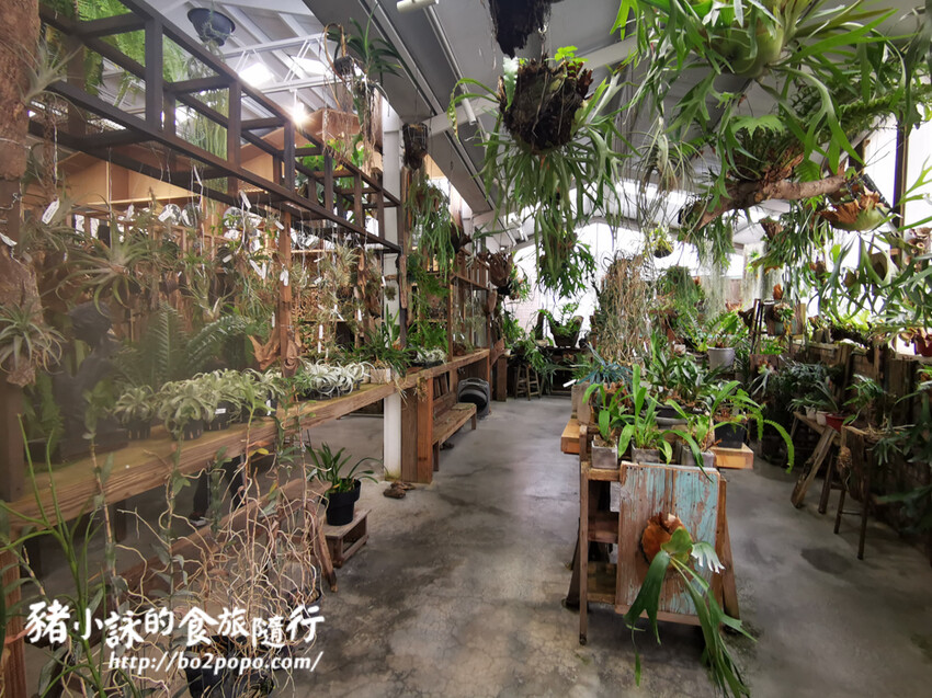 嘉義。梅山》太平雲梯(挑戰膽量)+太平老街隨意吃喝