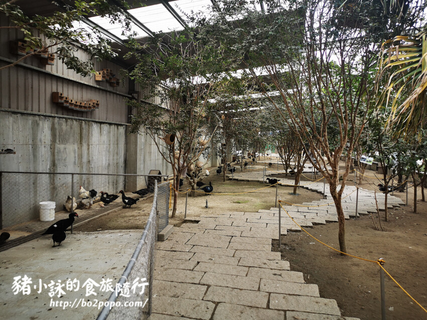 嘉義。民雄》三隻小豬觀光農場。有童話世界場景又有小動物的親子農場