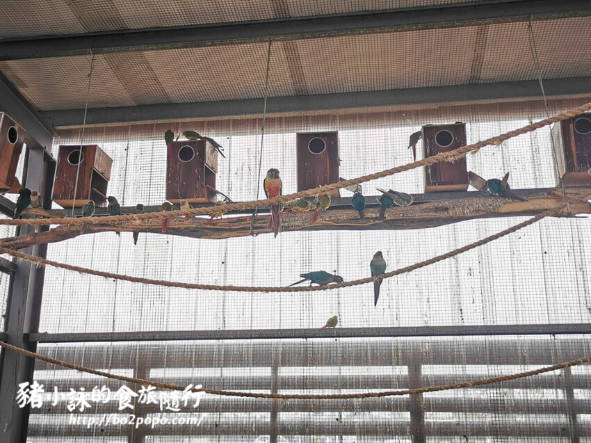 嘉義。民雄》三隻小豬觀光農場。有童話世界場景又有小動物的親子農場