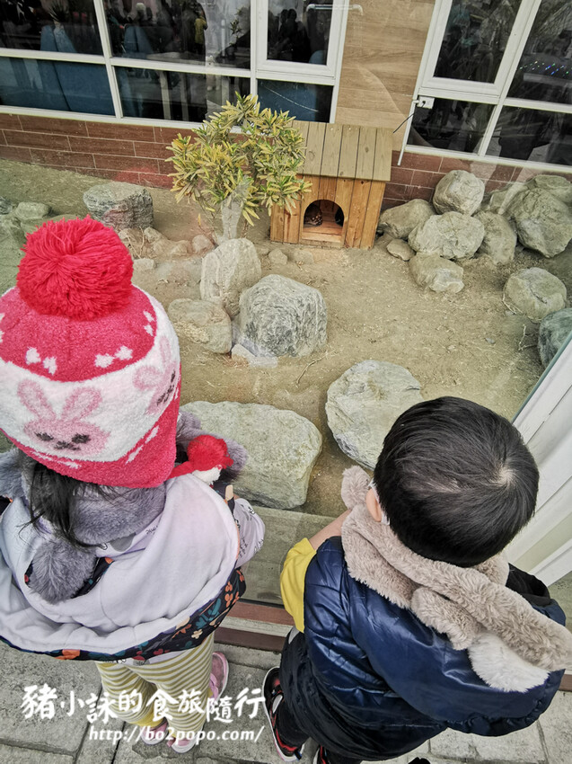 嘉義。民雄》三隻小豬觀光農場。有童話世界場景又有小動物的親子農場