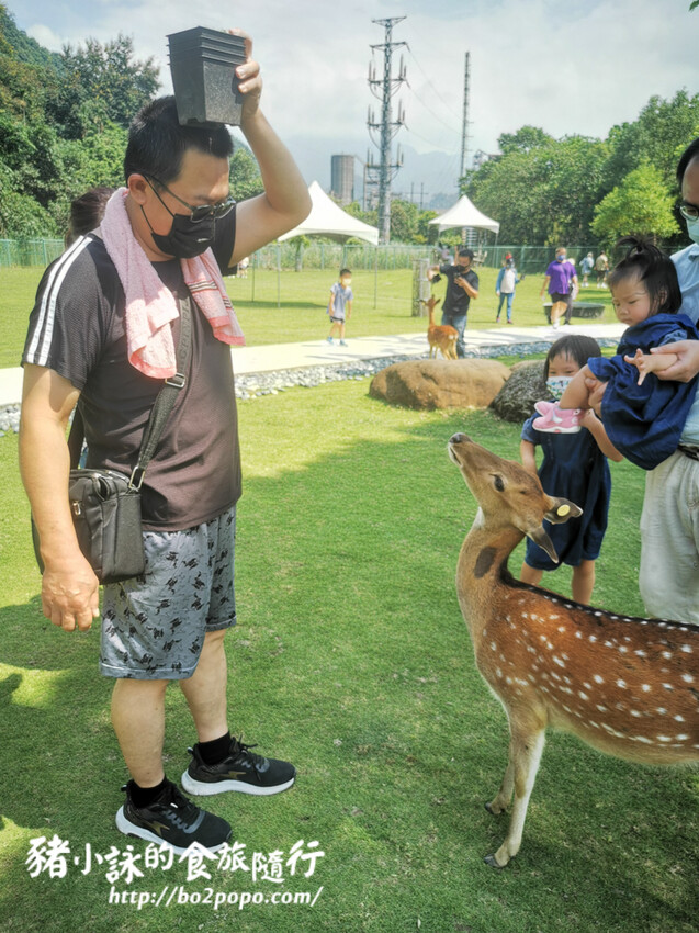 嘉義。番路》逐鹿文創園區+觸口遊客中心。梅花鹿餵食。鄒族歌舞表演