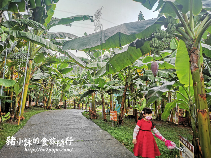 南投。集集》jijibanana集元果。香蕉主題觀光工廠