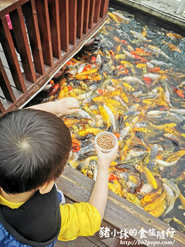 嘉義。民雄》三隻小豬觀光農場。有童話世界場景又有小動物的親子農場