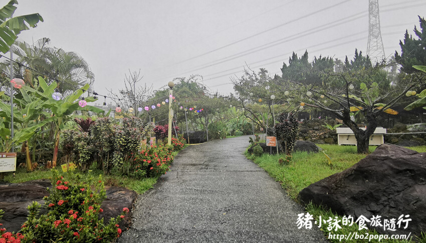 南投。集集》jijibanana集元果。香蕉主題觀光工廠
