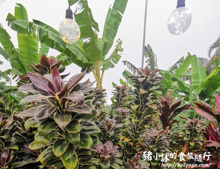 南投。集集》jijibanana集元果。香蕉主題觀光工廠