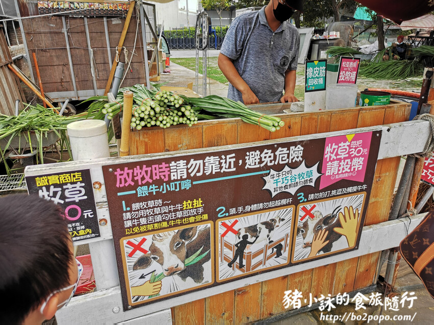雲林。崙背》千巧谷牛樂園牧場。可愛擔當又免門票的親子農場