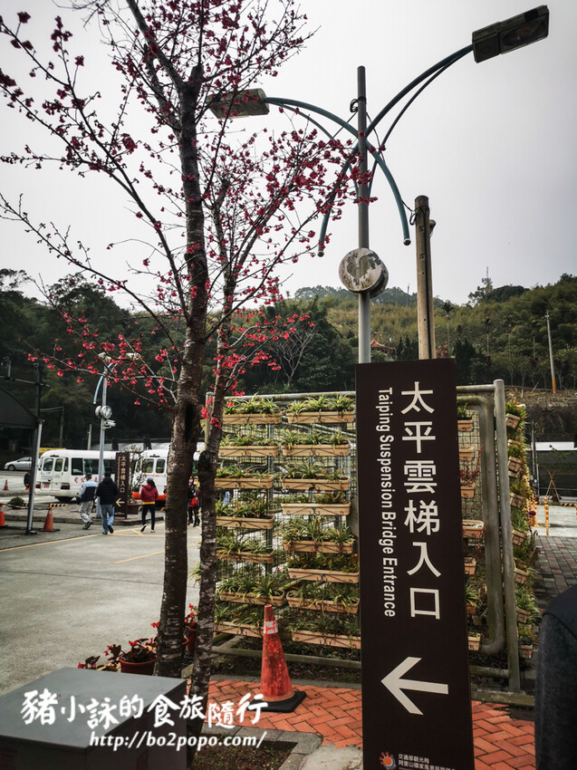 嘉義。梅山》太平雲梯(挑戰膽量)+太平老街隨意吃喝