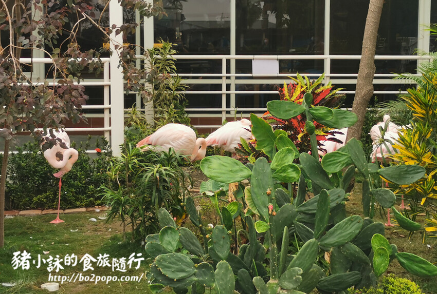 嘉義。民雄》三隻小豬觀光農場。有童話世界場景又有小動物的親子農場