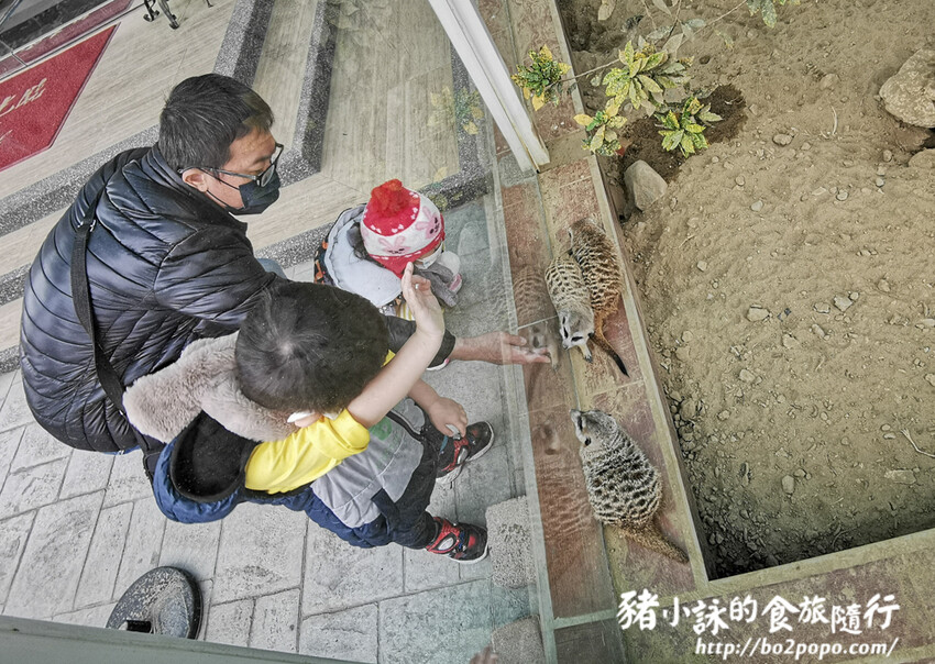 嘉義。民雄》三隻小豬觀光農場。有童話世界場景又有小動物的親子農場