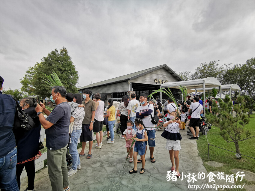 雲林。崙背》千巧谷牛樂園牧場。可愛擔當又免門票的親子農場