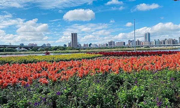 大IMG_9650 (1).jpeg