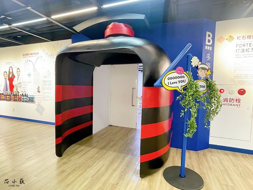 彰化展覽推薦│卡娜赫拉的小動物X台塑生醫健康悠活館 聯名互動展,全台唯一觀光工廠聯名,免費入館,集章送