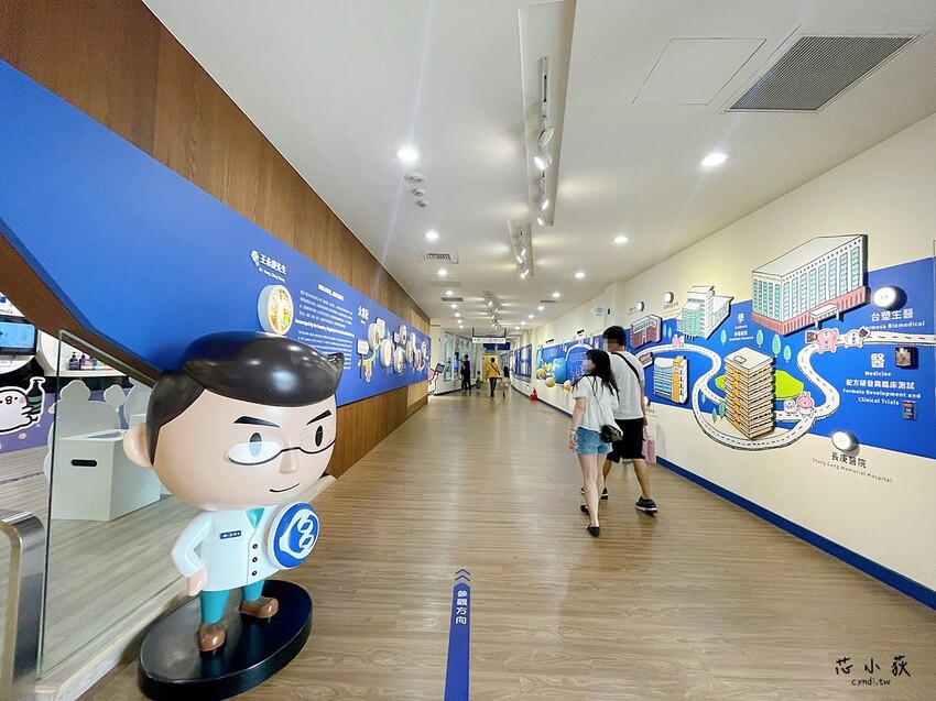 彰化展覽推薦│卡娜赫拉的小動物X台塑生醫健康悠活館 聯名互動展,全台唯一觀光工廠聯名,免費入館,集章送