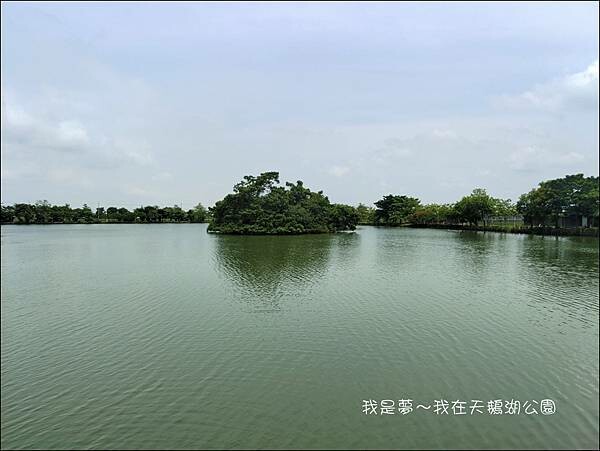 天鵝湖公園11.jpg