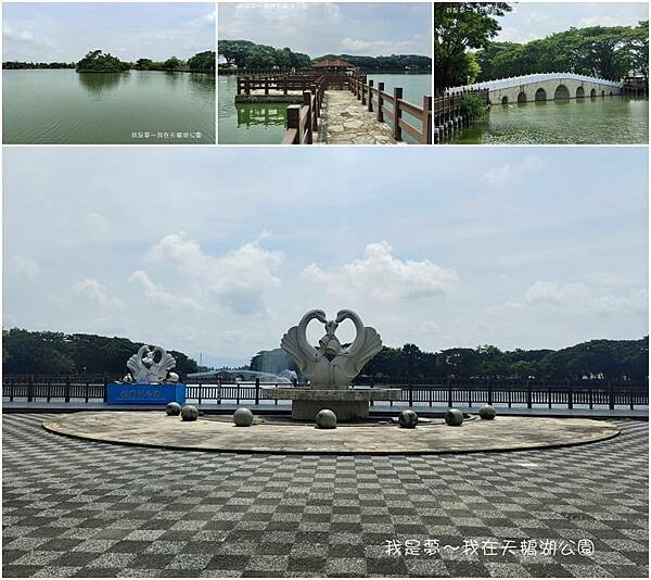天鵝湖公園18.jpg