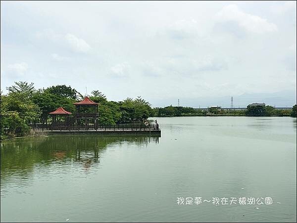 天鵝湖公園13.jpg